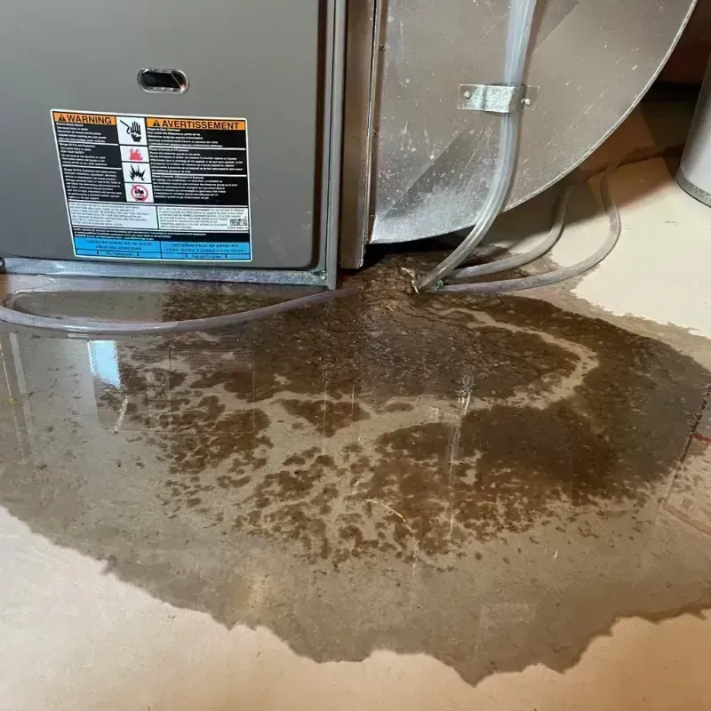 Appliance Leak Cleanup in Memphis, MI